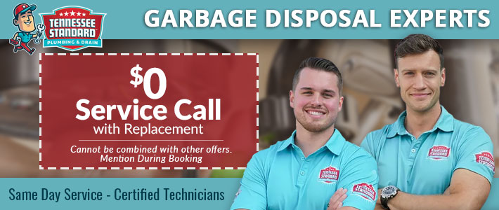 knoxville Garbage Disposal Repair & Install Tennessee Standard Plumbing